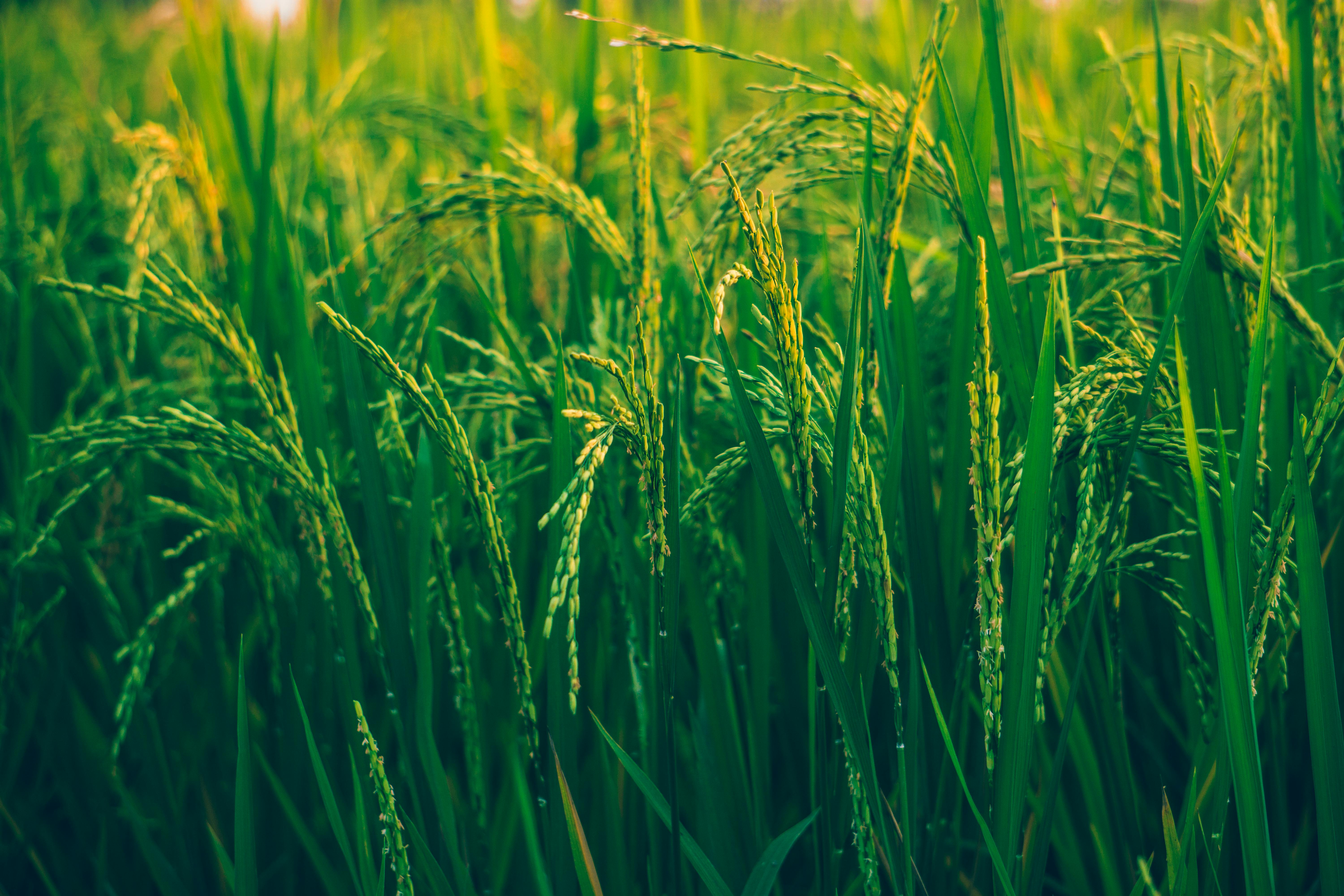 krantivedha-agrotech-slide-1