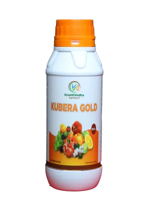 Product Image of KrantiVedha Agrotech Company Kubera Gold
